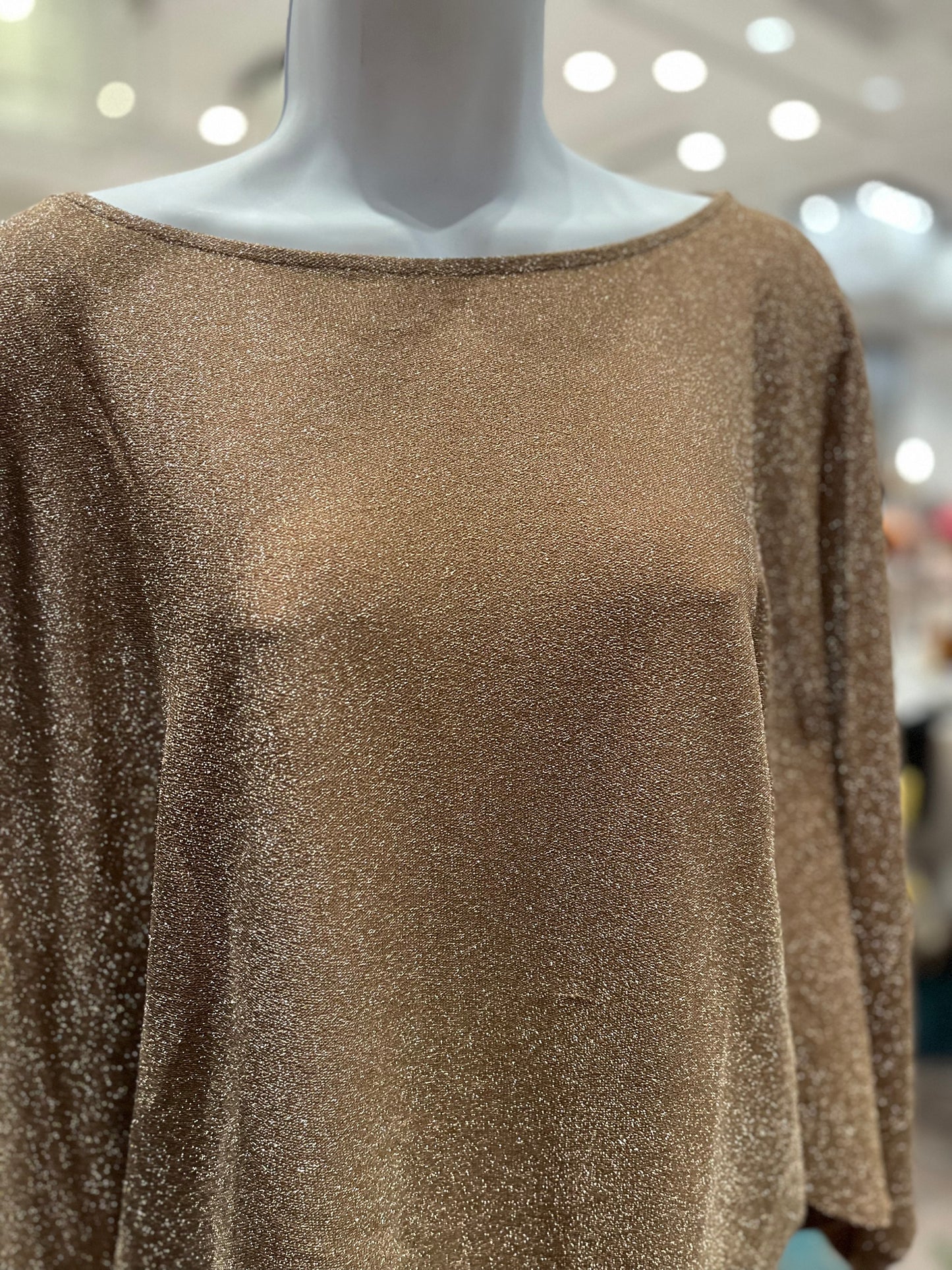 Bronze Tunic Top