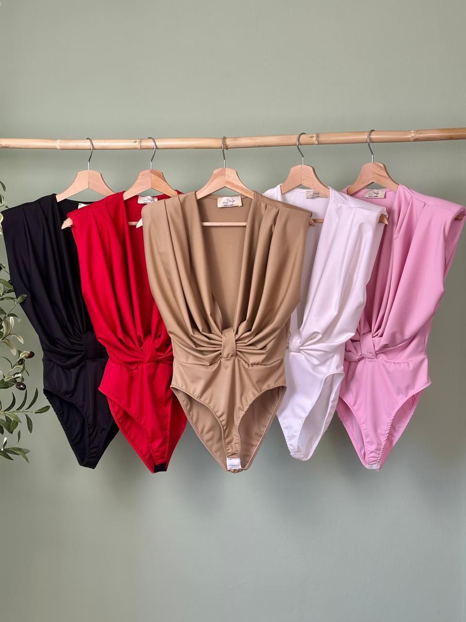 Basic Elegant Bodysuit